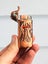 Vintage duck lighter Carousel 2