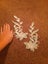GORGEOUS WHITE&SILVER SEQUIN APPLIQUES Carousel 3