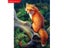 5D DIY Diamond Painting Fox Rhinestone Mosaic Animals Diamond Embroidery Carousel 3