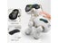 Pet Induction Robots For Child Educational Toys Singing Dancing Voice Dialogue Carousel 7