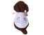 Pet clothes Dog doctor changing clothes Cat changing clothes (l) Carousel 4