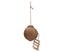 Parrots Hanging Natural Coconut House with Ladder Bird Hamster Cage Swing Nes Carousel 2
