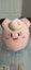 Cle fairy squishy Pokemon Carousel 1