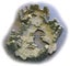 Loading Image 1 of 2