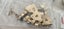 Bulk wall hanging hooks Carousel 1