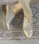 $1R * OLI * pale pink pearl finish genuine leather dress/casual *39* Carousel 4