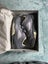 Jordan 5 Low Carousel 1