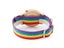 ALK Vision Pride Rainbow Top Wood Watches Brand Women Mens Wooden Watch Canvas Carousel 5