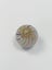 A 19th Century German Clambroth Marble - $1 Reserve Charity Auction Carousel 7