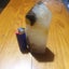 Smoky, Golden healer Quartz combo Tower Carousel 1
