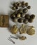 Vintage NZ military badges & brass buttons Carousel 3