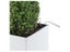 Lechuza Cubico Planter Colour 40 - White Carousel 7