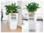 Lechuza Cubico Planter Colour 40 - White Carousel 8