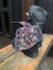 Folding Dr Martens Carousel 3