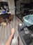 Go Pro Carousel 13
