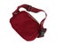 Fashion Fanny Packs for Women Men Waterproof Waist Pack Small Belt Bag with A Carousel 1