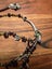 Artisan Sterling Silver & Gemstone Necklace – Garnet, Jade and more! Carousel 15