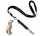 Dog Whistle To Stop Barking - Silent Bark Control for Dogs - Ultrasonic Patro Carousel 6