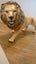 BESWICK LION Carousel 2