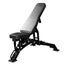 Heavy Duty Adjustable Bench Carousel 1