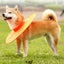 Adjustable Pet Dog E Collar Breathable Dog Cone Recovery Collar Orange L Carousel 3
