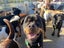 Rottweiler to adopt Carousel 5
