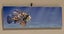 Small Noumea Fish Canvas Carousel 1
