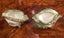 STAFFORDSHIRE IRONSTONE PAIR of PORCELAIN “SNAIL” PLANTER VASES / FLOWER POTS Carousel 2