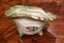 STAFFORDSHIRE IRONSTONE PAIR of PORCELAIN “SNAIL” PLANTER VASES / FLOWER POTS Carousel 5