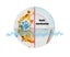 Mini Dishwasher, Mini Usb Dishwasher Multifunction Portable & Countertop Smar Carousel 5