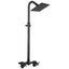 Aolemi Outdoor Shower Kit with Adjustable Slide Bar Outdoor Shower Fixture with Carousel 1