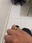 Nice gold and black coloured ring Carousel 4