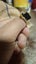 Nice gold and black coloured ring Carousel 7