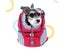 Comfortable Dog Cat Carrier Backpack for Hiking Outdoor Travel-L-Rose red Carousel 5