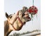 Horse Treat Ball Hanging Hay Feeder Toy Ball Multipurpose Feeding Toy For Hor Carousel 3