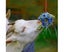 Horse Treat Ball Hanging Hay Feeder Toy Ball Multipurpose Feeding Toy For Hor Carousel 4