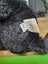 Jellycat Casper Cat Carousel 4