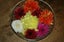 Dahlia tubers 10 tubers mixed colours. Carousel 9