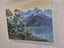 Green Beech Trees In Fiordland - Caley Hall Fine Art Original Oil Painting Carousel 5
