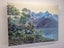 Green Beech Trees In Fiordland - Caley Hall Fine Art Original Oil Painting Carousel 3