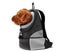 Comfortable Dog Cat Carrier Backpack for Hiking Outdoor Travel-M-Black Carousel 5