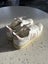 VEJA V-12 Leather Sneakers - White & Pink Carousel 1