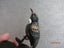 New Zealand Bird on Sterling Silver & Greenstone Base Carousel 6