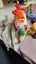 Bulk Baby Girl Toys Carousel 9