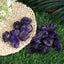 500G 3-5cm Amethyst Crystals Raw Natural Crystal Stones for Polishing Tumbling Carousel 5