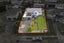 gallery view thumbnail