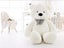 Teddy Bear Carousel 5
