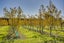 gallery view thumbnail