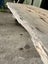 Extra large Totara Wood Slab – Perfect for Custom River Table Projects Carousel 4
