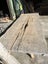Extra large Totara Wood Slab – Perfect for Custom River Table Projects Carousel 17